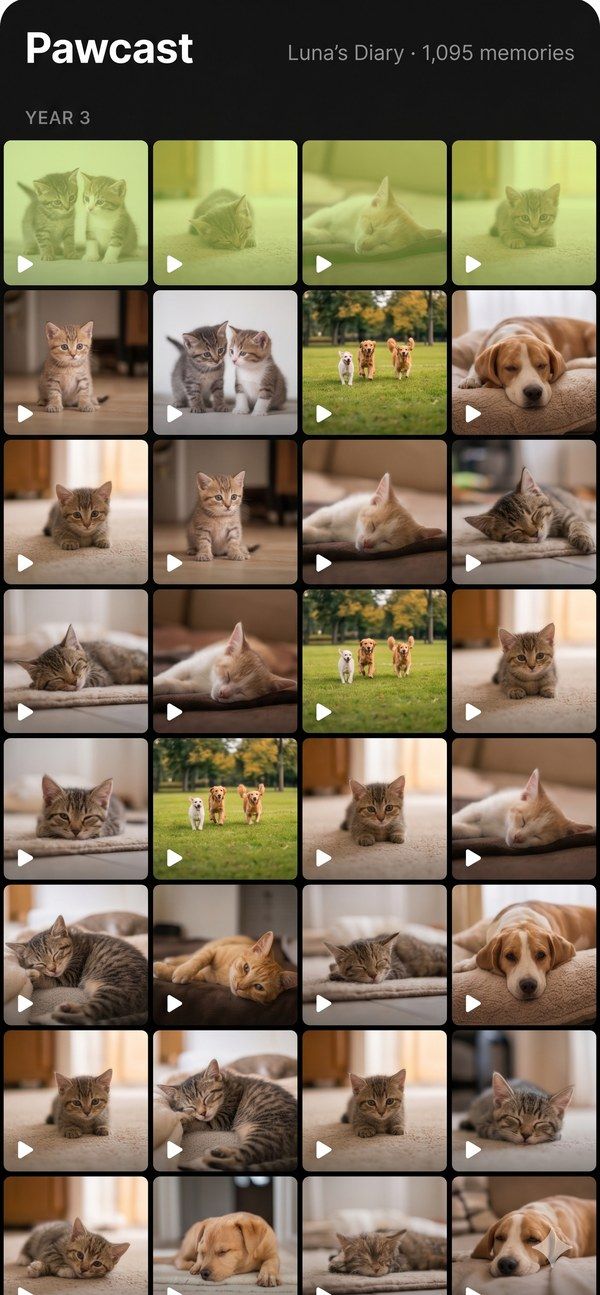 Pawcast app — Year 3, 1095 memories, packed grid of pet video thumbnails