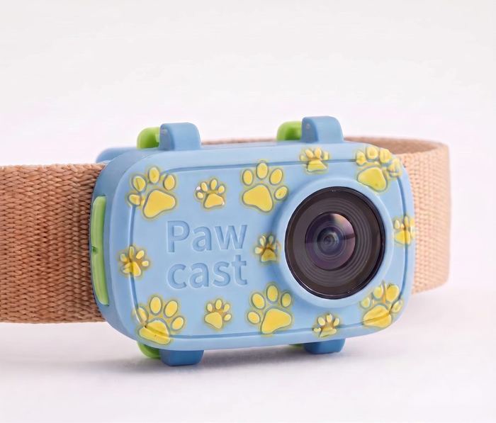 Pawcast camera in Paw Print Blue colourway on collar